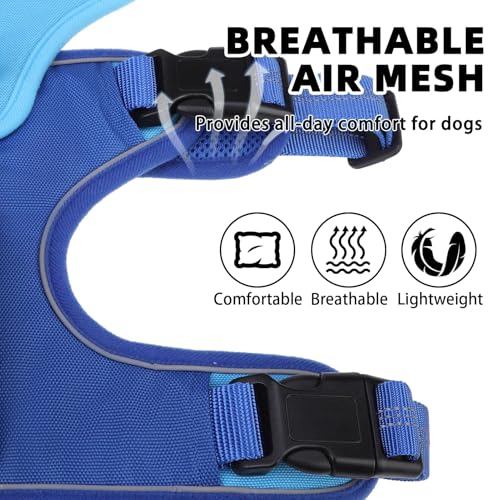 PUPTECK Escape Proof Dog Harness and Leash Set Upgraded No Pull Reflective Dog Vest with Lift Handle, Easy Control Pet Harness for Medium Large Dogs Training Walking Running, Blue, L - color: Blue/Sky, size: Large