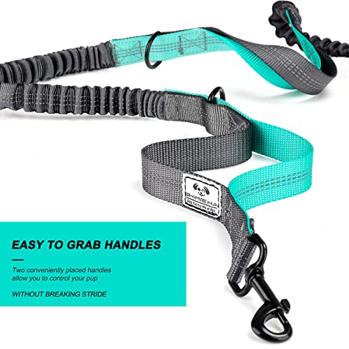 SHINE HAI Retractable Hands Free Dog Leash with Dual Bungees for 2 Dogs, Adjustable Waist Belt, Reflective Stitching Leash for Running Walking Hiking Jogging Biking Black - Gray2 - color: Gray