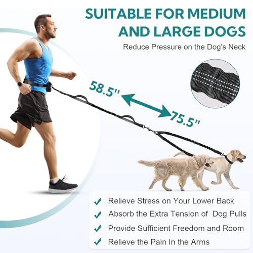 Hands Free Dog Leash 2 Dogs,Waist Leash for Dog Walking (Large) - size: Large