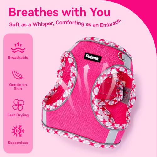 Petank Step in Dog Harness No Pull and Leash for Small Medium Dogs Cats. - color: Rose Red, size: XXXS