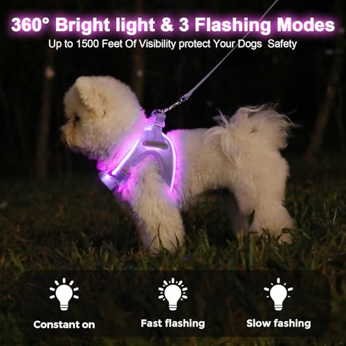 Light Up Dog Harness, Rechargeable LED Dog Harness for Small Medium Dogs - color: Lavender Purple, size: M