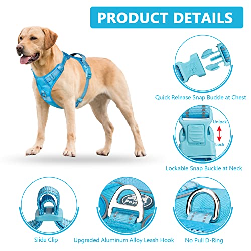 PoyPet No Pull Dog Harness, Reflective Vest with 2 Leash Clips & Handle - color: Blue(Matching Trim), size: S