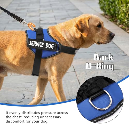MUMUPET Service Dog Harness, No Pull & Reflective Pet Vest, Blue, S - color: Blue, size: Small