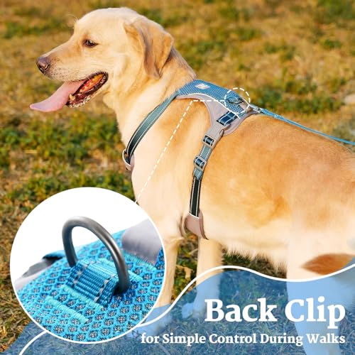 Huntboo No-Pull Dog Harness, Fully Reflective Vest with 2 Leash Clips, No-Choke, Adjustable, Breathable & Durable for Small, Medium & Large Dogs Walking, Training, Running (Teal Blue, L)