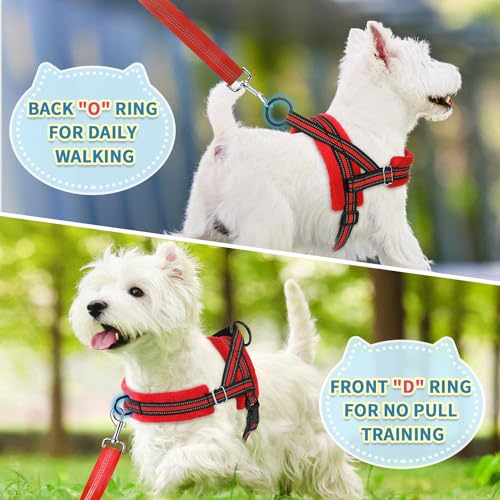 SlowTon No Pull Small Dog Harness and Leash Set with Front Clip - color: Red, size: XX-Small