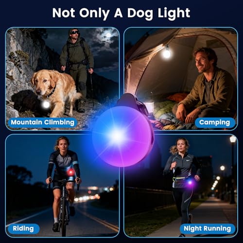 2-in-1 GPS Tracker & Dog Light - Works with Apple Find My - No Subscription