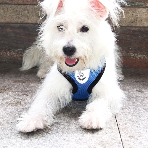 Hypeety Dog Vest Harness No-Pull Reflective Step-in Air Mesh Vest, Blue, S - color: Blue, size: S