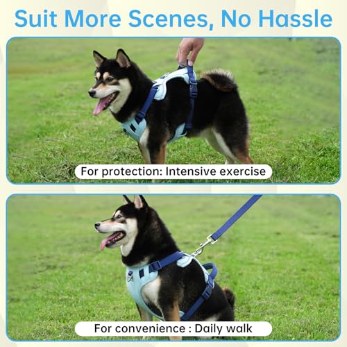 Dog Harness and Leash Set with Collar, No Pull Reflective Pet Vest Harness with Control Handle for Medium Large Dogs Walking and Training - color: Blue, size: M(Neck:18.1-28.3",Chest:21.3-28.3")
