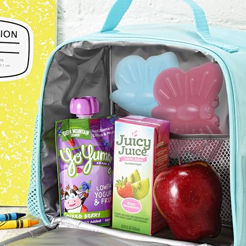Cool Coolers by Fit & Fresh Reusable Kids Lunch Box Ice Packs, 4pk - color: Butterfly (4 Pack), size: 4 Pack