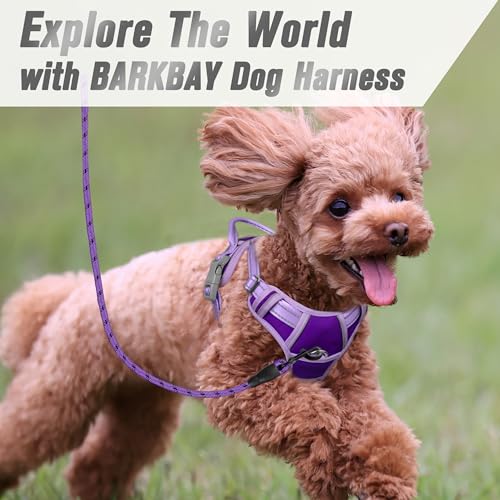 BARKBAY Dog Harness No Pull for Small Sized Dog Front Back Clips,Dog Vest - color: Violet Purple & Purple, size: X-Small(Chest:15.5-19.5”)