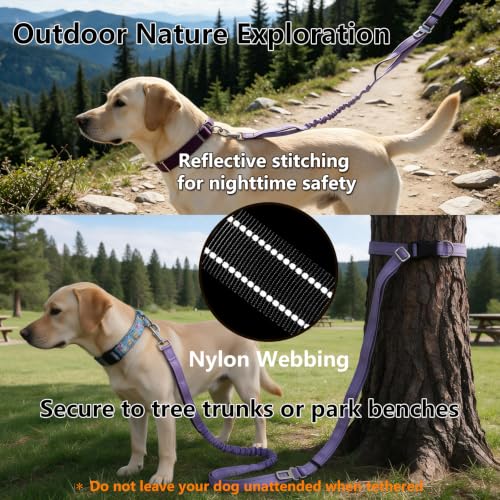Triple Handle Bungee No Pull Dog Leash, Black 6.23-8.53FT - color: Black