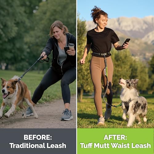 Tuff Mutt Waist Hands Free Dog Leash for Walking Running Hiking - color: gray/orange