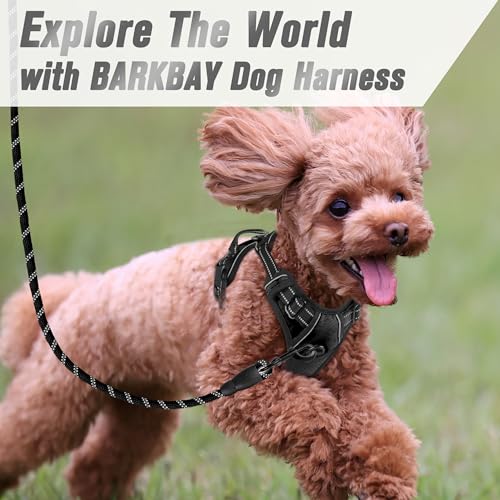 BARKBAY Dog Harness No Pull for Small Sized Dog Front Back Clips,Dog Vest - color: Black, size: X-Small(Chest:15.5-19.5”)