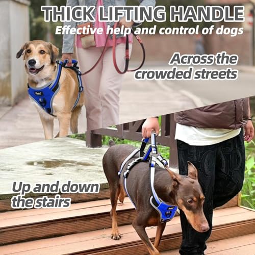 PUPTECK Escape Proof Dog Harness with Padded Handle, No Pull Pet Vest Harness Durable Reflective for Medium Large Dogs Walking Training and Running, Navy Blue, L - color: Blue, size: Large