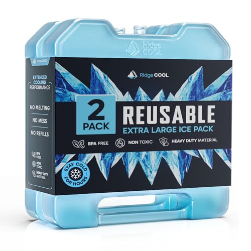 4 Pack Reusable Extra Large Ice Packs for Cooler, Long Lasting Freezer Packs for Camping, Beach, and Road Trips, Cooler Ice Packs BPA-Free Non-Toxic, 10.28"x 7.80" - size: XL 2-pack