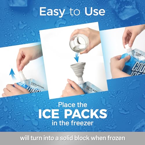 Everlasting Ice RX Reusable Ice Packs for Cooler (4 Pack) Up to 48 Hours Freezer Packs for Coolers and Lunch Boxes Cooler Ice Packs for Lunch Box, Camping, Fishing, Beach, Road Trips - size: Large 9.5" x 9.5" (4 Pack)