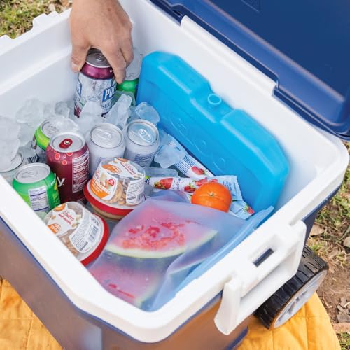 Igloo Maxcold Ice Blocks, Reusable Ice Packs for Coolers, Freezer Pack, Cold Packs for Coolers, Long Lasting Ice Blocks - color: XL
