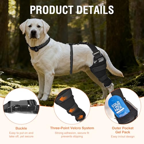 Dog Knee Brace M, Hind Leg Support with Hot & Cold Gel Pack - size: M