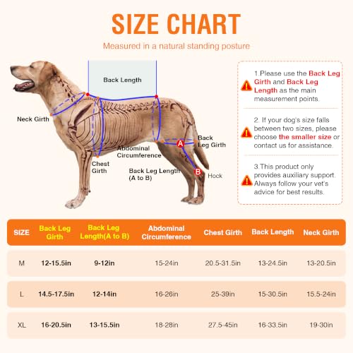 Dog Knee Brace L, Hind Leg Support with Hot & Cold Gel Pack - size: L