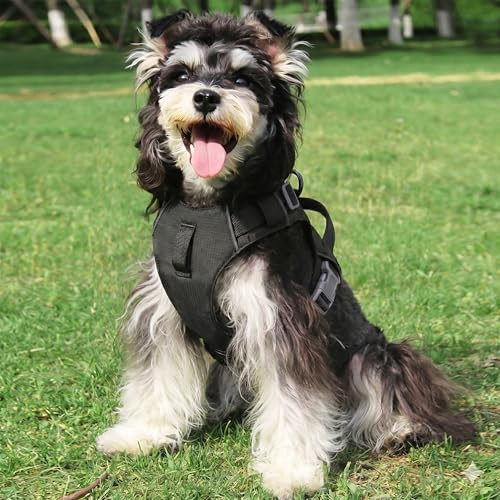 Mile High Life No Pull Dog Harness with Reflective Stripe, Adjustable Easy Get on Lightweight Harness for Small Medium Large Dogs Walking Running Training (Black, S Chest 14"-20") - color: Black, size: S Chest 14"-20"