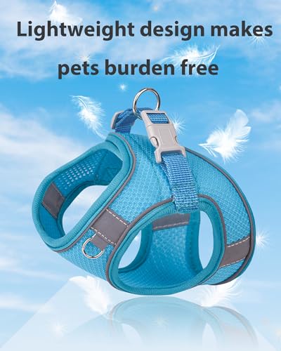 Dog Harness for Small Medium Sized Dog, Step in Puppy Harness and Leash Set Training Walking. (Blue, XXS) - color: Blue, size: Extra Extra Small