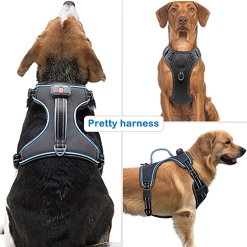 LED Light Dog Harness, X-Large, Black-Blue, No-Pull, Rechargeable, for Large Dogs - color: Black-Blue, size: XL