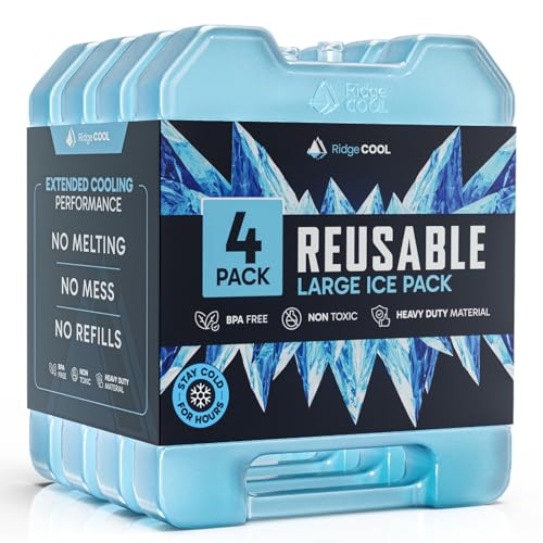 4 Pack Reusable Extra Large Ice Packs for Cooler, Long Lasting Freezer Packs for Camping, Beach, and Road Trips, Cooler Ice Packs BPA-Free Non-Toxic, 10.28"x 7.80" - size: Large 4-pack