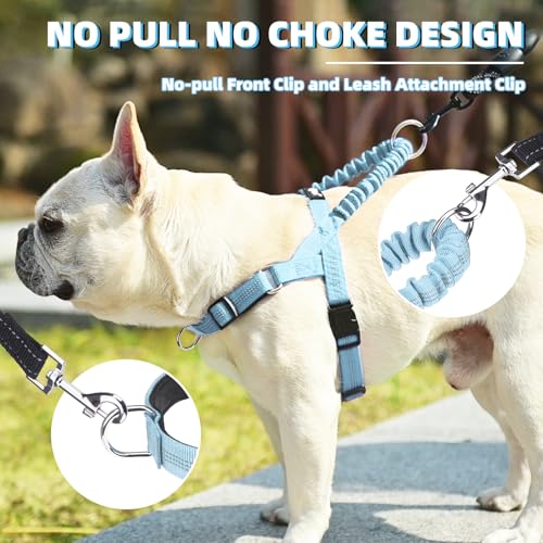 PUPTECK No Pull Dog Harness Small Sized Dog, Adjustable Reflective Pet Vest Harness with Bungee Handle, Escape Proof No Choke Harness for Small Dogs Walking Training, Sky Blue S - color: Sky Blue, size: S (NECK: 15"-17.5", CHEST: 18.5"-24")