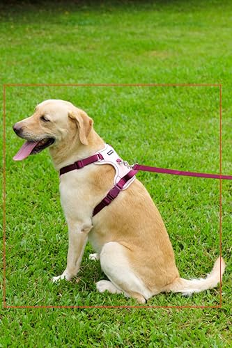 Dog Harness and Leash Set with Collar, No Pull Reflective Pet Vest Harness with Control Handle for Medium Large Dogs Walking and Training - color: Pink, size: M(Neck:18.1-28.3",Chest:21.3-28.3")