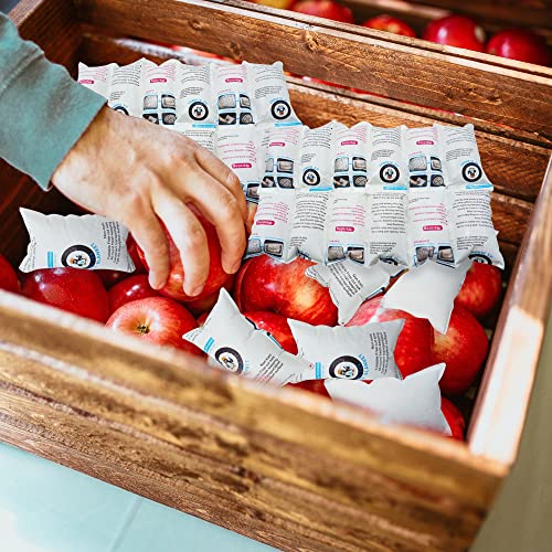 Shipping Cold Packs Dry Ice for Shipping Frozen Food, Freezer Ice Pack Sheets for Coolers 14'' X 13'', Flexible Freezer Cold Packs Keep Food Fresh Beverage Cold, 10 PCS Ice Blanket Sheets, 4 x 6 Cells - style: 6X4cell 10sheet - 240cells