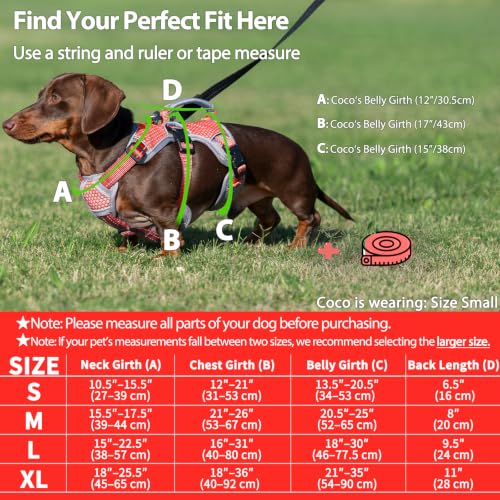 Huntboo Escape Proof Dog Harness, Dachshund Harness, Reflective Dog Harness with Handle, Durable,Adjustable Vest for Small Medium Large Dogs Walking, Training, and Running Gear (Red,M) - color: Red, size: Medium(Pack of 1)