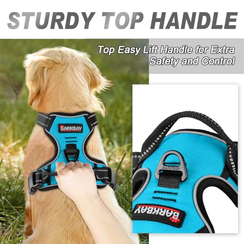 BARKBAY Dog Harness No Pull for Small Sized Dog Front Back Clips,Dog Vest - color: Blue, size: X-Small(Chest:15.5-19.5”)