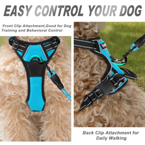 BARKBAY Dog Harness No Pull for Small Sized Dog Front Back Clips,Dog Vest - color: Blue, size: X-Small(Chest:15.5-19.5”)