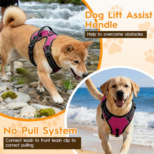 No Pull Dog Harness, No-Choke Soft Padded Reflective Dog Vest Harness with Front Clip & Top Handle, 2 Quick-Release Buckles, Adjustable for Small Medium Large Dogs - color: Hot Pink, size: X-Small