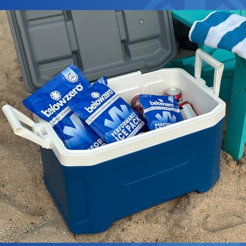 Below Zero Prefilled Reusable Ice Packs for Coolers | Long Lasting Freezer Ice Blocks for Camping, Lunch Bags & More | 48 Hour Cooler Ice Pack Technology - style: Medium - 2pk (New Design)