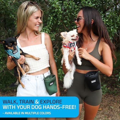 DOOG Clip On Dog Treat Pouch (Small) - Compact Hands-Free Puppy Training Reward Bag with Secure Waist Clip, Pull-String Closure & Washable Inner Lining - Grey/Pink - color: Grey/Pink, size: Small
