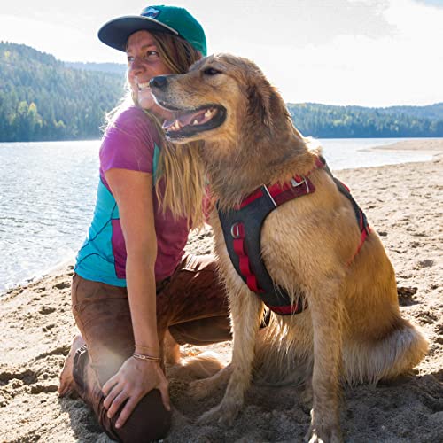 Kurgo Journey Air Dog Harness, Red, Medium - color: Red, size: Medium
