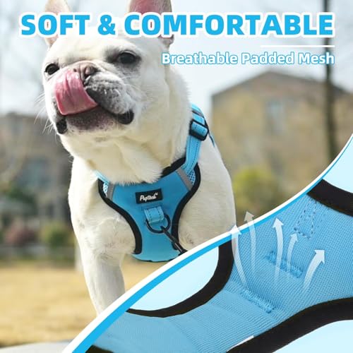 PUPTECK Dog Harness Small Sized Dog, Step in Adjustable Reflective Dog Vest Harness Escape Proof, No Pull Soft Padded Harness Easy Control, Blue, XS - color: Blue, size: XS (CHEST: 11.5"-16")