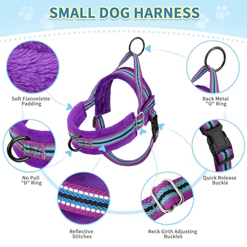 SlowTon No Pull Small Dog Harness and Leash Set with Front Clip - color: Purple, size: X-Small