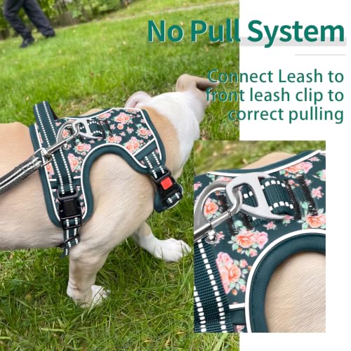 HEELE Dog Harness, Soft Padded, Easy On & Off, Flower Blackish Green, S - color: Flower Blackish Green, size: S (Pack of 1)