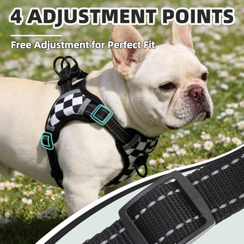 PUPTECK Dog Harness Small Sized Dog, Step in Adjustable Reflective Dog Vest Harness Escape Proof, No Pull Soft Padded Harness Easy Control, Checkered, S - color: Black&White(Checkered), size: S (CHEST: 13"-18")