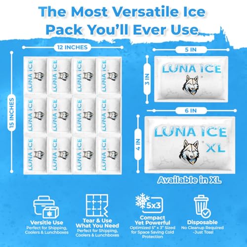 Dry Ice Packs for Shipping - Long Lasting ice Packs - 24+ Hour Freeze Power - BPA Free - 12 Pack Bulk 3 lb – Hielo Seco - Reusable Gel Bricks for Food - size: Medium