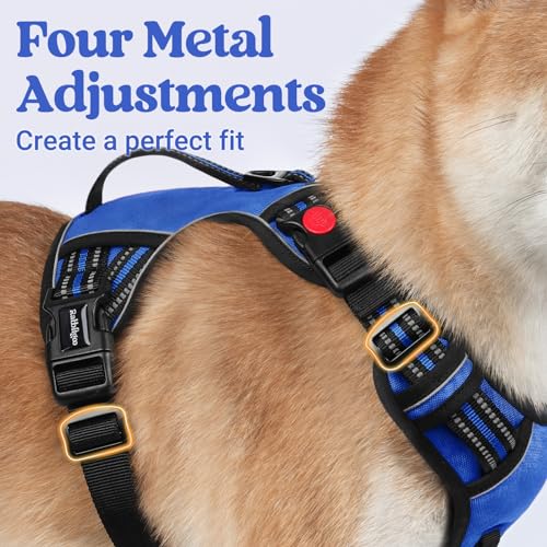 rabbitgoo Large Dog Harness, Easy Wear with 3 Buckles and Lift Handle - color: Blue, size: Medium