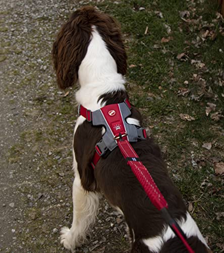 EzyDog X-Link Dog Harness, No Pull Design with Front D-Ring - Medium, Blue - color: Blue, size: Medium