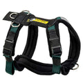 Adjustable Dog Harness, No-Pull D-Ring - Alpine Outfitters Urban Trail – Padded, Reflective, Multi-Use for Hiking, Running, and Everyday Wear - XLarge Teal - color: Teal, size: Xlarge