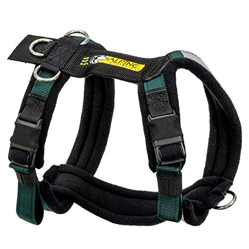 Adjustable Dog Harness, No-Pull D-Ring - Alpine Outfitters Urban Trail – Padded, Reflective, Multi-Use for Hiking, Running, and Everyday Wear - Large Teal - color: Teal, size: Large