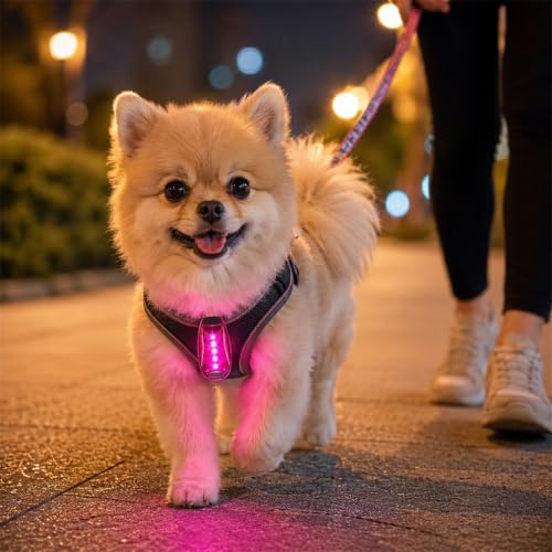 Copkim 30/60/100 Pcs LED Running Light Bulk - color: pink