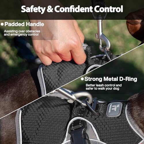 Huntboo Escape Proof Dog Harness, Dachshund Harness, Reflective Dog Harness with Handle, Durable,Adjustable Vest for Small Medium Large Dogs Walking, Training, and Running Gear (Black,M) - color: Black, size: Medium(Pack of 1)