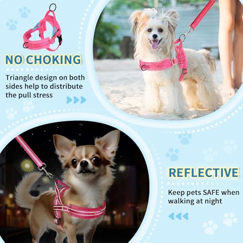 Lukovee Small Dog Harness and Leash Set, No Pull Soft Padded, 4ft Leash,XXS - color: B-pink, size: XXS ( Chest 11.5'' ~ 15'')