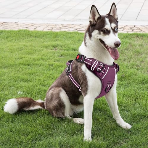 HEELE Harness Small Dog, No Pull No Choke Vest, Easy On & Off, Purple, S - color: Lock Purple, size: S (Pack of 1)